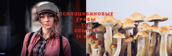 2c-b Абинск