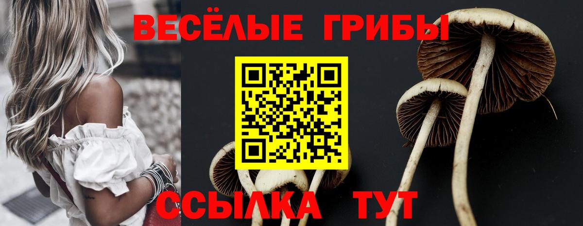 Галлюциногенные грибы мицелий  Галлюциногенные грибы ЛСД  Вход с VPN  Смоленск 