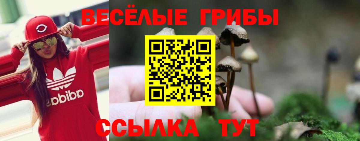Псилоцибиновые грибы Cubensis Смоленск