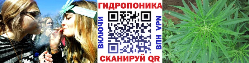 Конопля планчик Смоленск